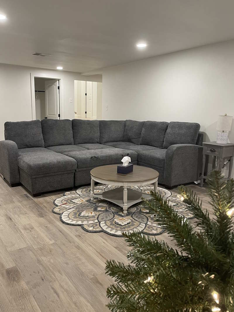 Living Room with Sofa Bed