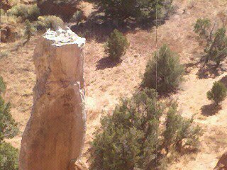 Quite the Balancing Act! Quite the Balancing Act!