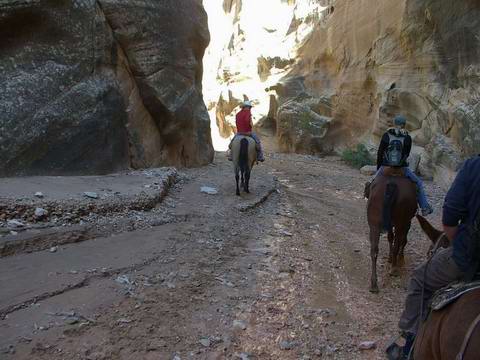 Horseback riding into Willis Creek Horseback riding into Willis Creek